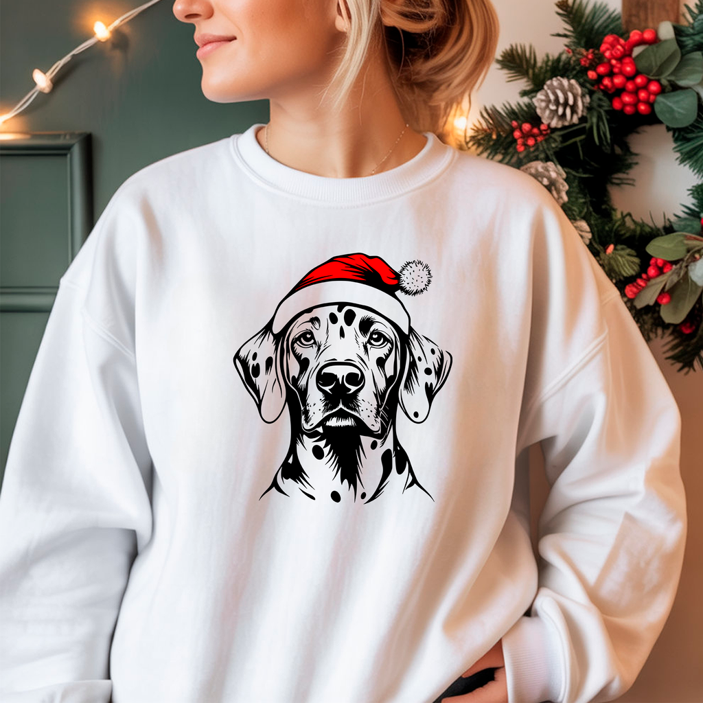 Oversized Φούτερ Dalmatian Santa